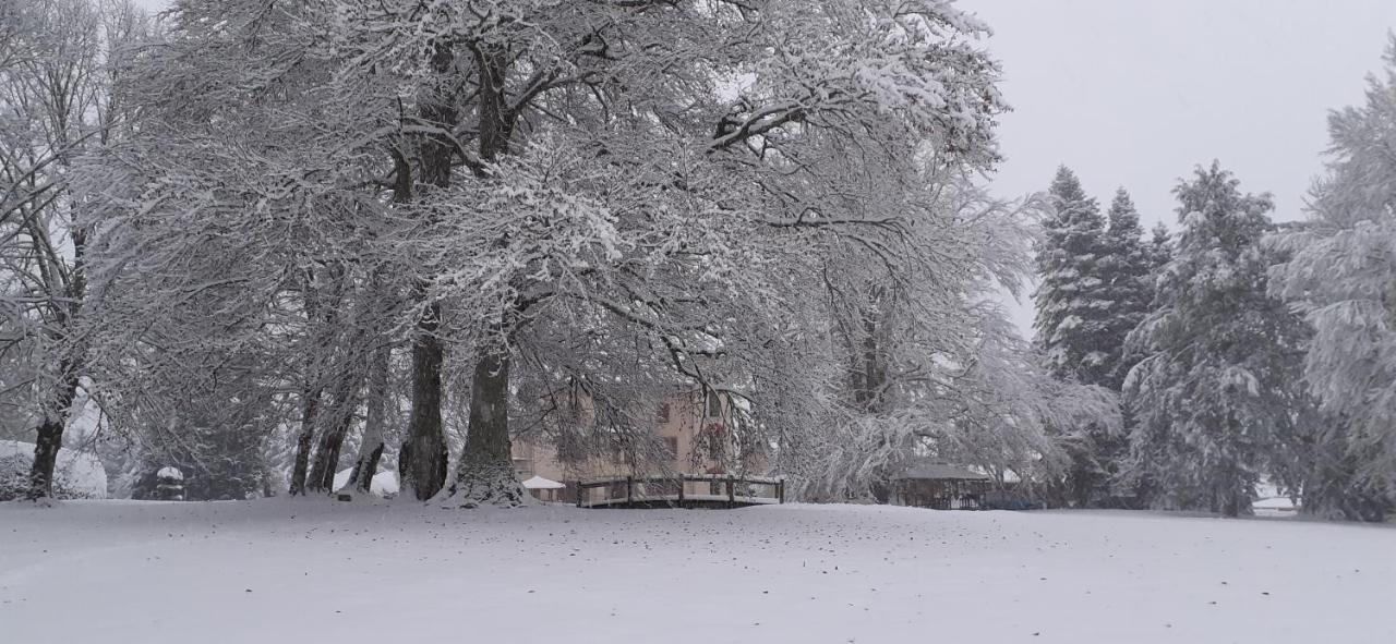 Domaine De Marchal - Chambres Et Table D'Hotes Celles-Sur-Durolle Exterior photo